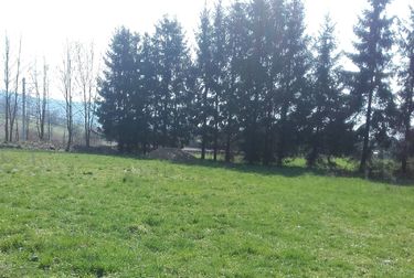 Prodej, stavební pozemek, Vikýřovice