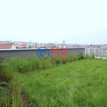 Prodej byt 5+kk, OV, 302 m2, Praha 10 - Vršovice, ul. Archangelská