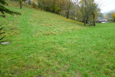 Prodej, stavební pozemek, Horní Temenice